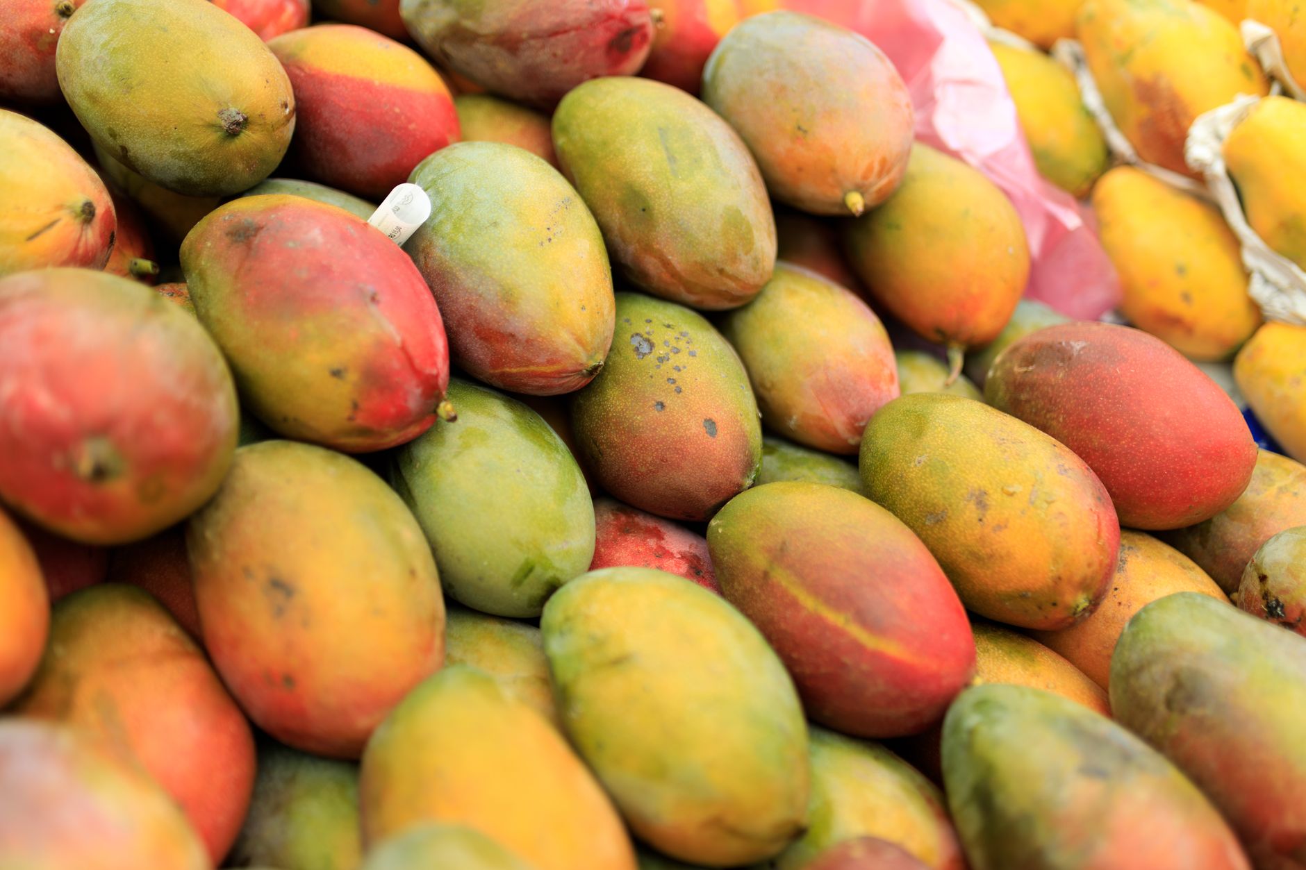 Exotic tropical fruit including mango