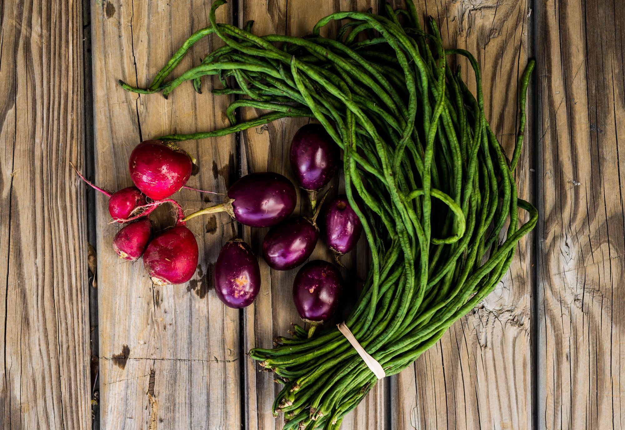Fresh green beans, aubergines and radishes