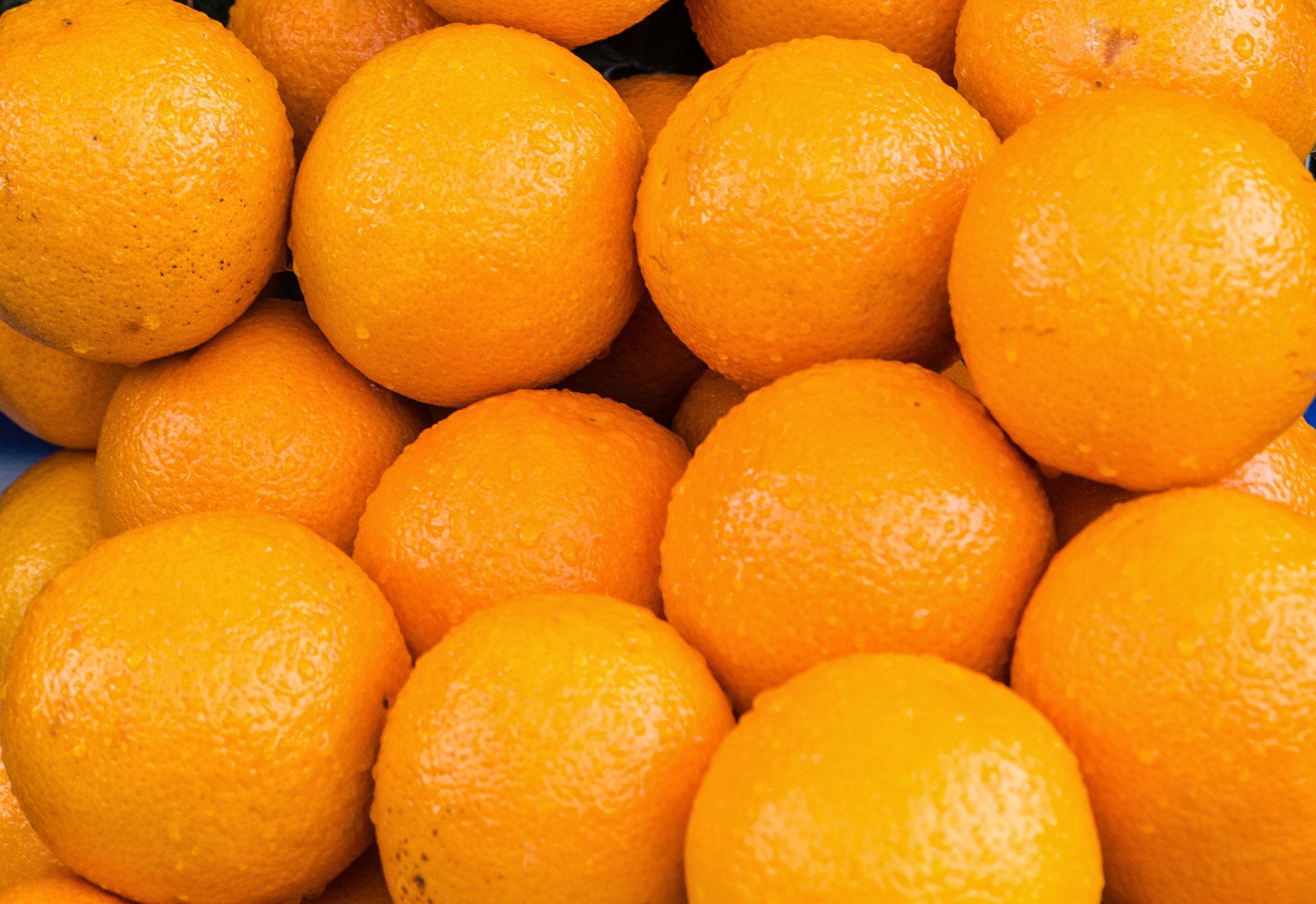 Fresh oranges